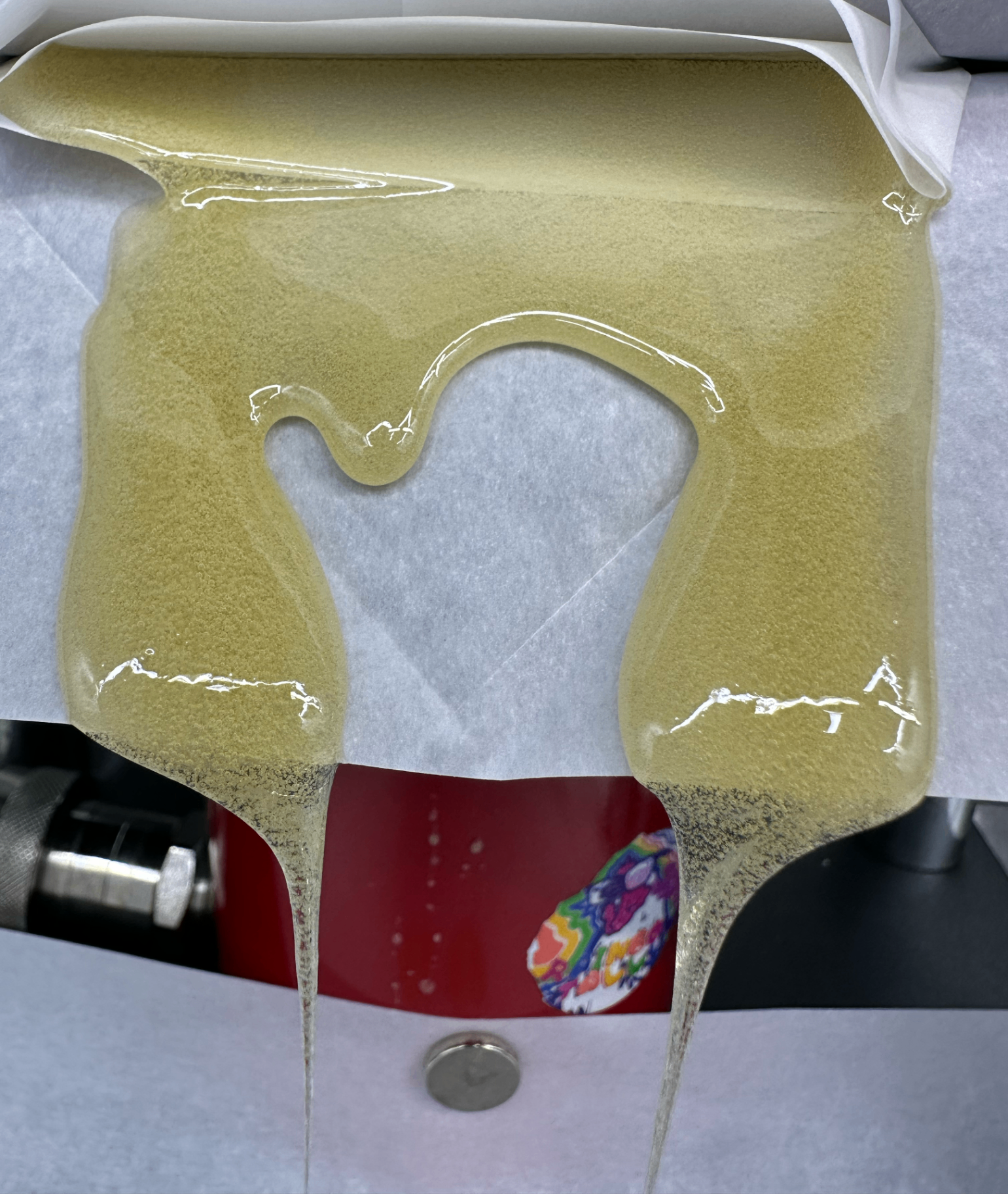 Fresh-pressed live rosin oozing from parchment between low-temp plates